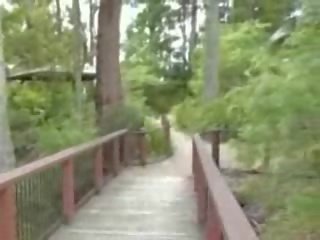 타격 일