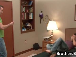 Brothers first-rate Bf Has Python member Sucked
