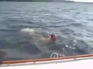 محلية الصنع في الهواء الطلق أبحر بيخت سخيف w.
