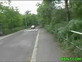 Shorthaired ціпонька yr міссісіпі
