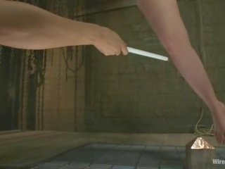 В будинок завжди wins br electricity є королева