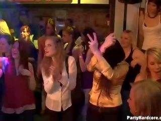 Waiters 빌어 먹을 암캐