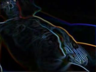 Мой xart - cumpilation 2