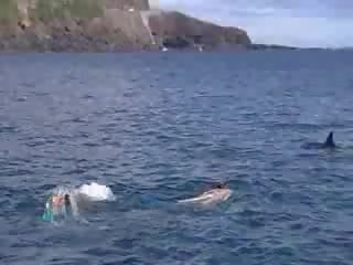 Xxx 視頻 下 水 夾