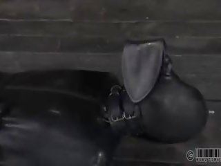 Bag 向上 katharine 甘蔗