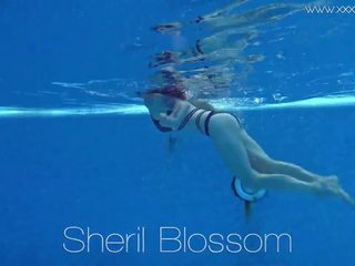 Sheril blossom marvellous রাশিয়ান নিচের পানি, এইচ ডি নোংরা ক্লিপ bd