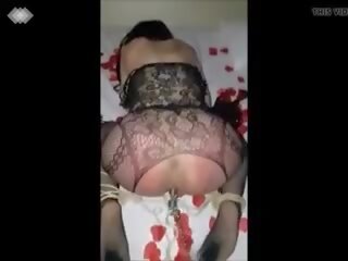 Pear 的 疼痛: 自由 xnnx 管 xxx 视频 vid f3